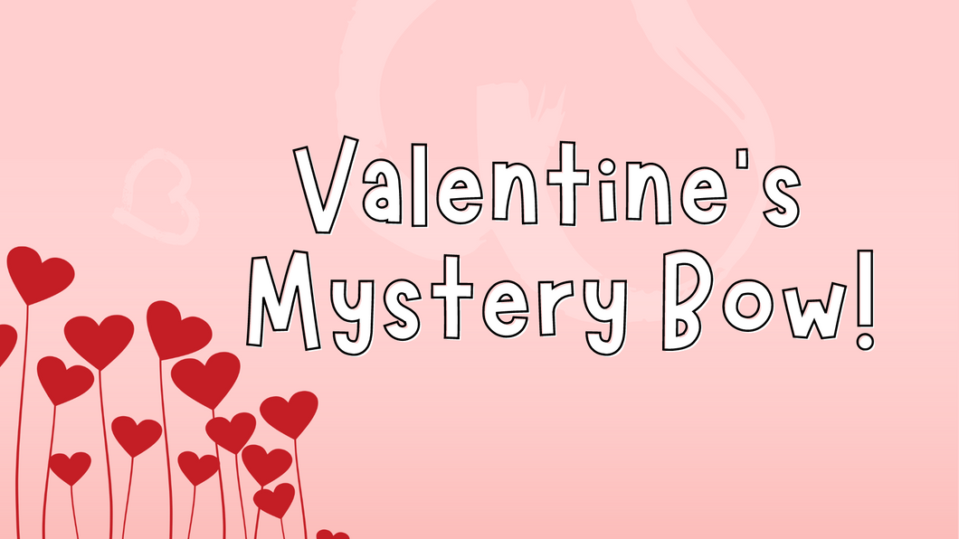 VALENTINES MYSTERY BOW